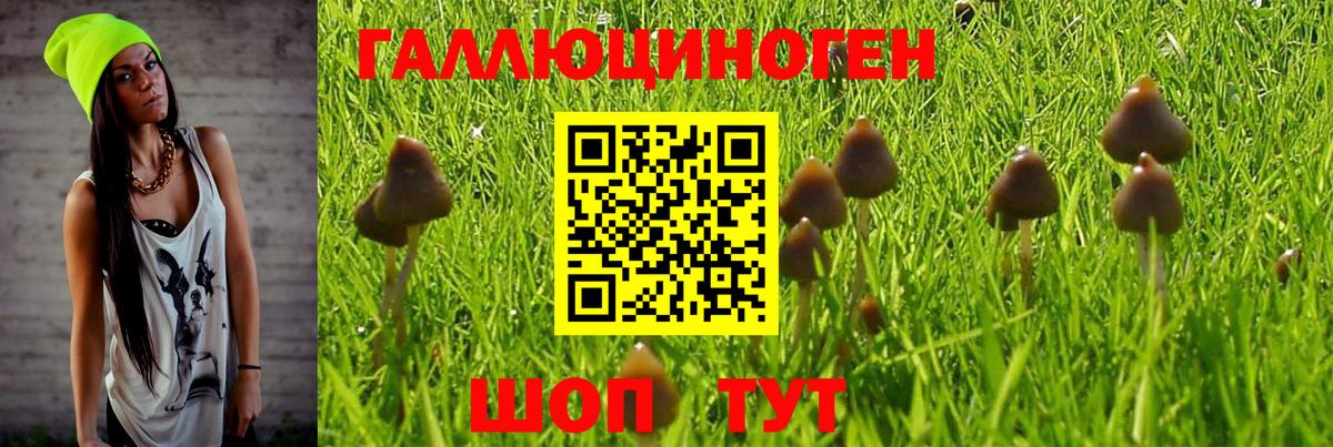 Галлюциногенные грибы Magic Shrooms Городец