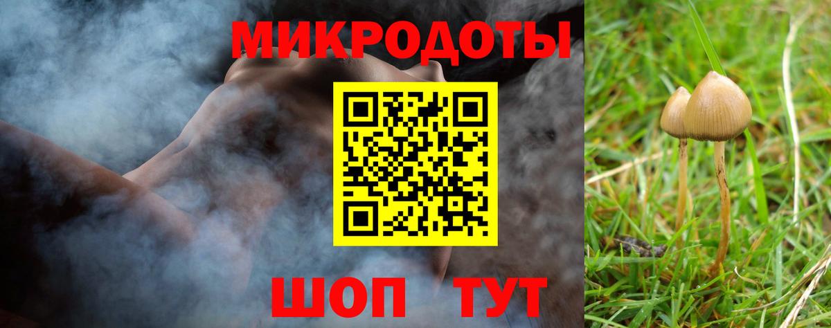 наркошоп  Вход с VPN  Псилоцибиновые грибы GOLDEN TEACHER  Городец  Галлюциногенные грибы Psilocybe 